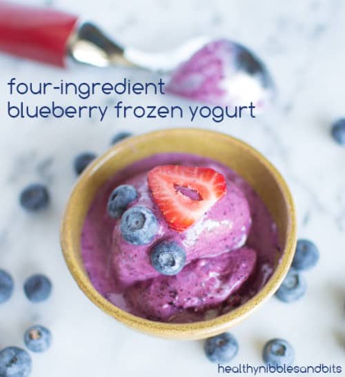 4-ingredient blueberry frozen yogurt