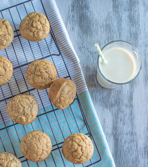 Vegan Banana Nut Muffins