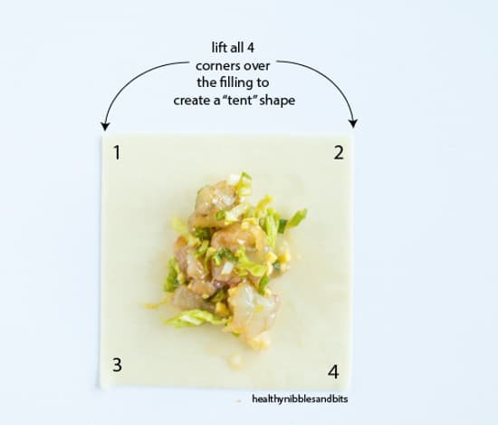 Wonton Folding | healthynibblesandbits.com