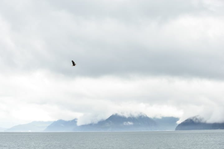 Seward, Alaska | healthynibblesandbits.com