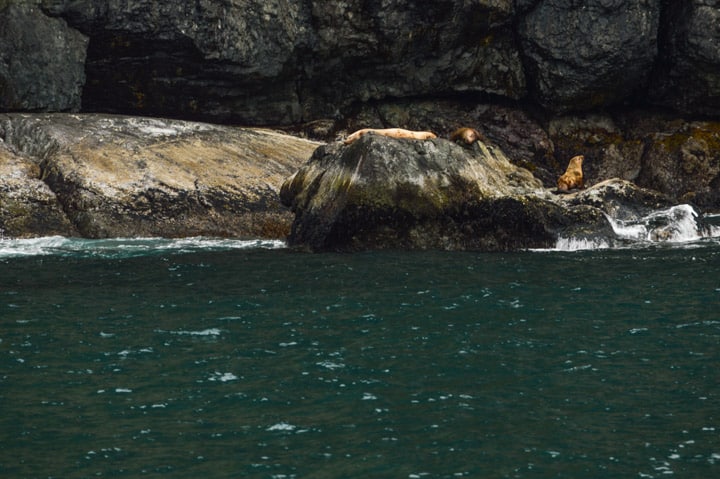 Kenai Fjords, Alaska | healthynibblesandbits.com