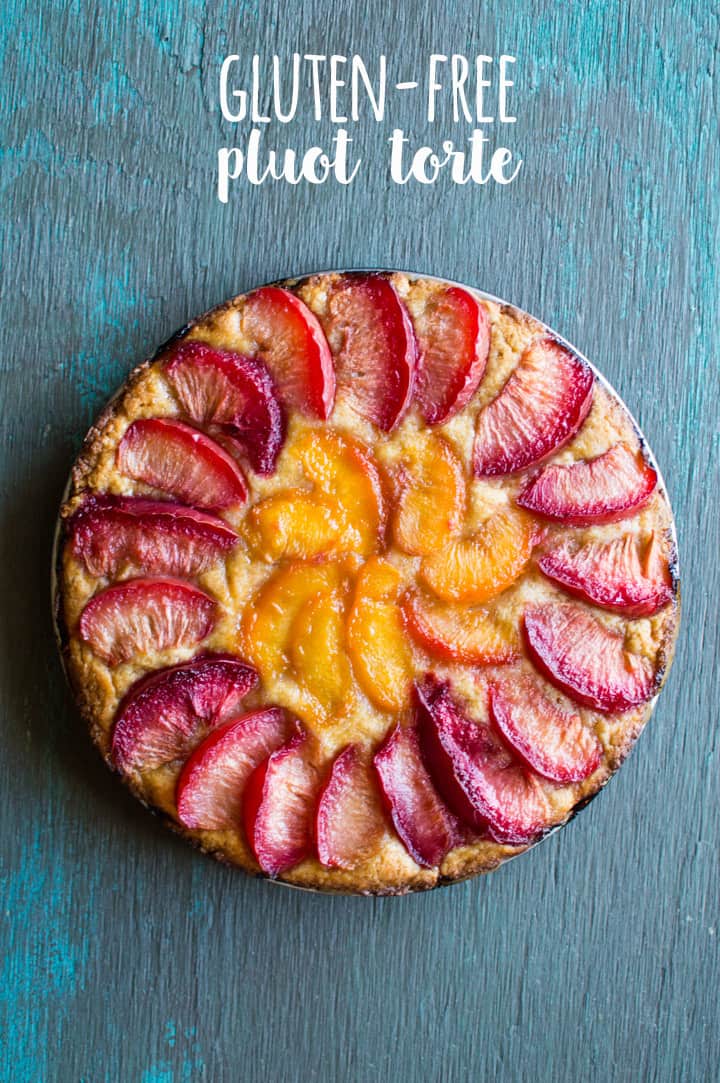 Gluten-Free Pluot Torte - easy dairy-free dessert that's made in one bowl! healthynibblesandbits.com