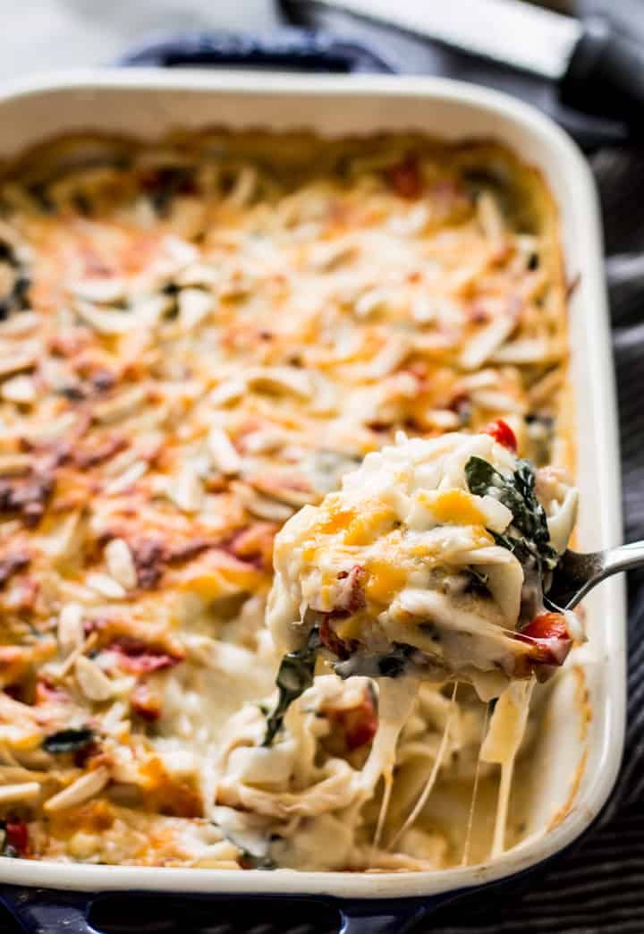 Low Carb Chicken Tetrazzini - this gluten-free cheesy wonder uses tofu shirataki noodles instead of pasta! | healthynibblesandbits.com