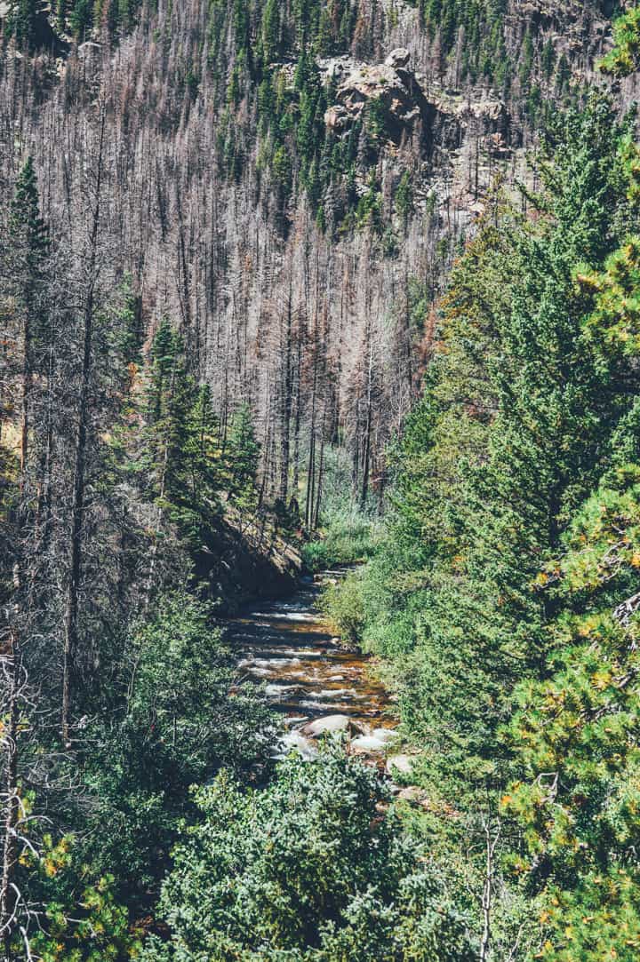 Rocky Mountain National Park | healthynibblesandbits.com