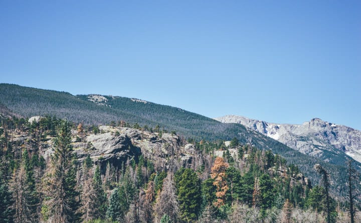 Rocky Mountain National Park | healthynibblesandbits.com