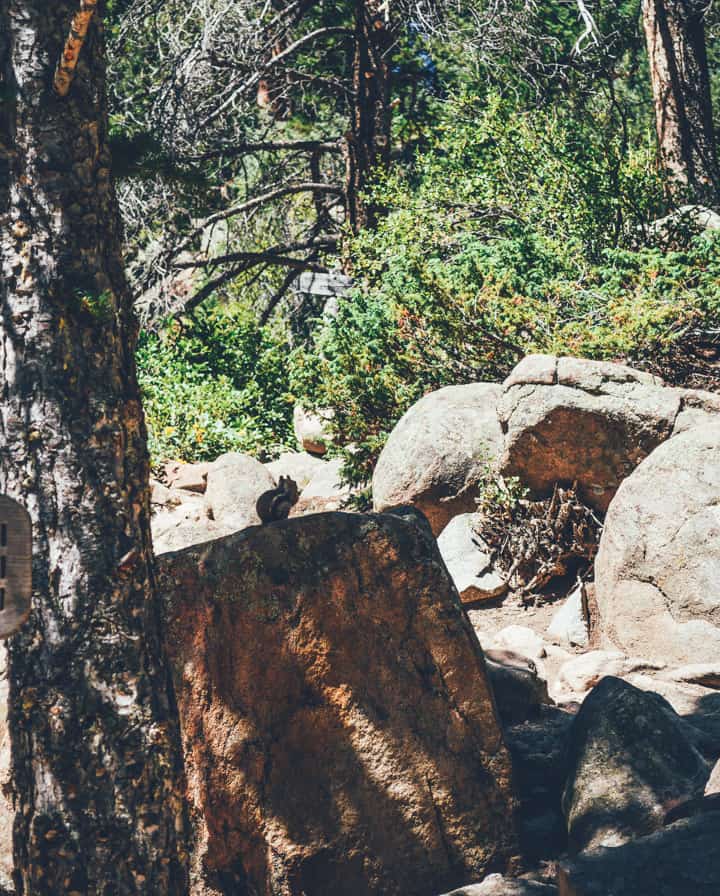 Rocky Mountain National Park | healthynibblesandbits.com