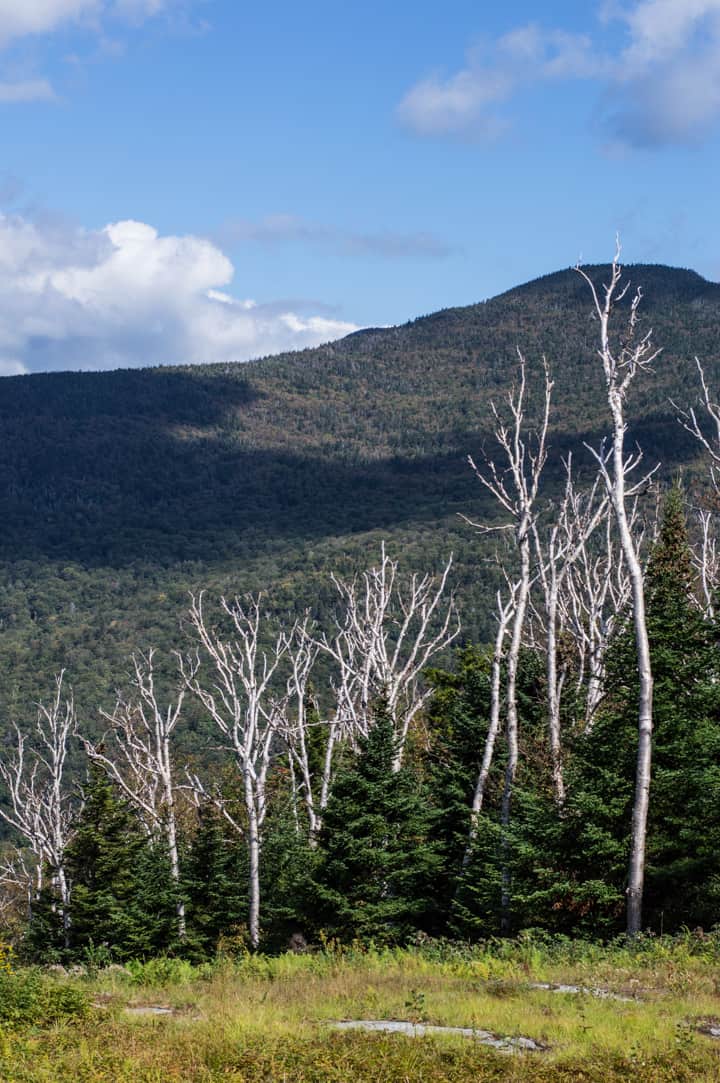 Smuggler's Notch