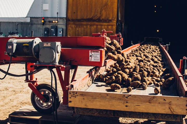 Idaho Potato Harvest | healthynibblesandbits.com