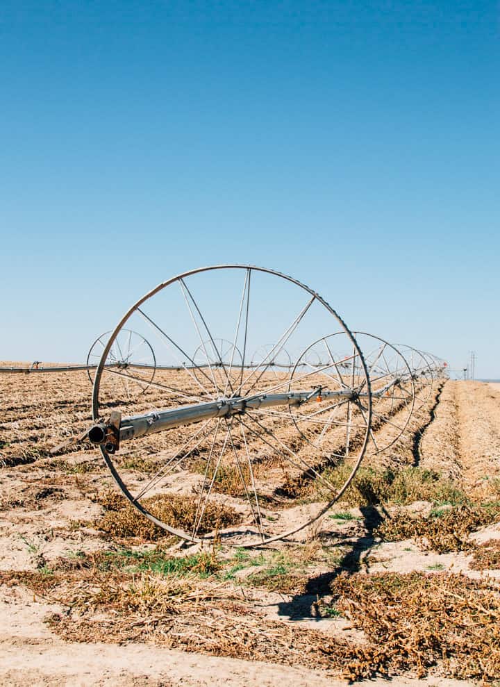 Idaho Potato Harvest | healthynibblesandbits.com