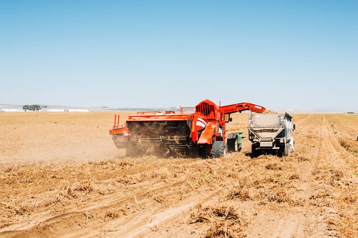 Idaho Potato Harvest | healthynibblesandbits.com