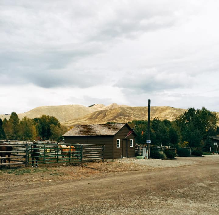 Idaho Potato Harvest | healthynibblesandbits.com