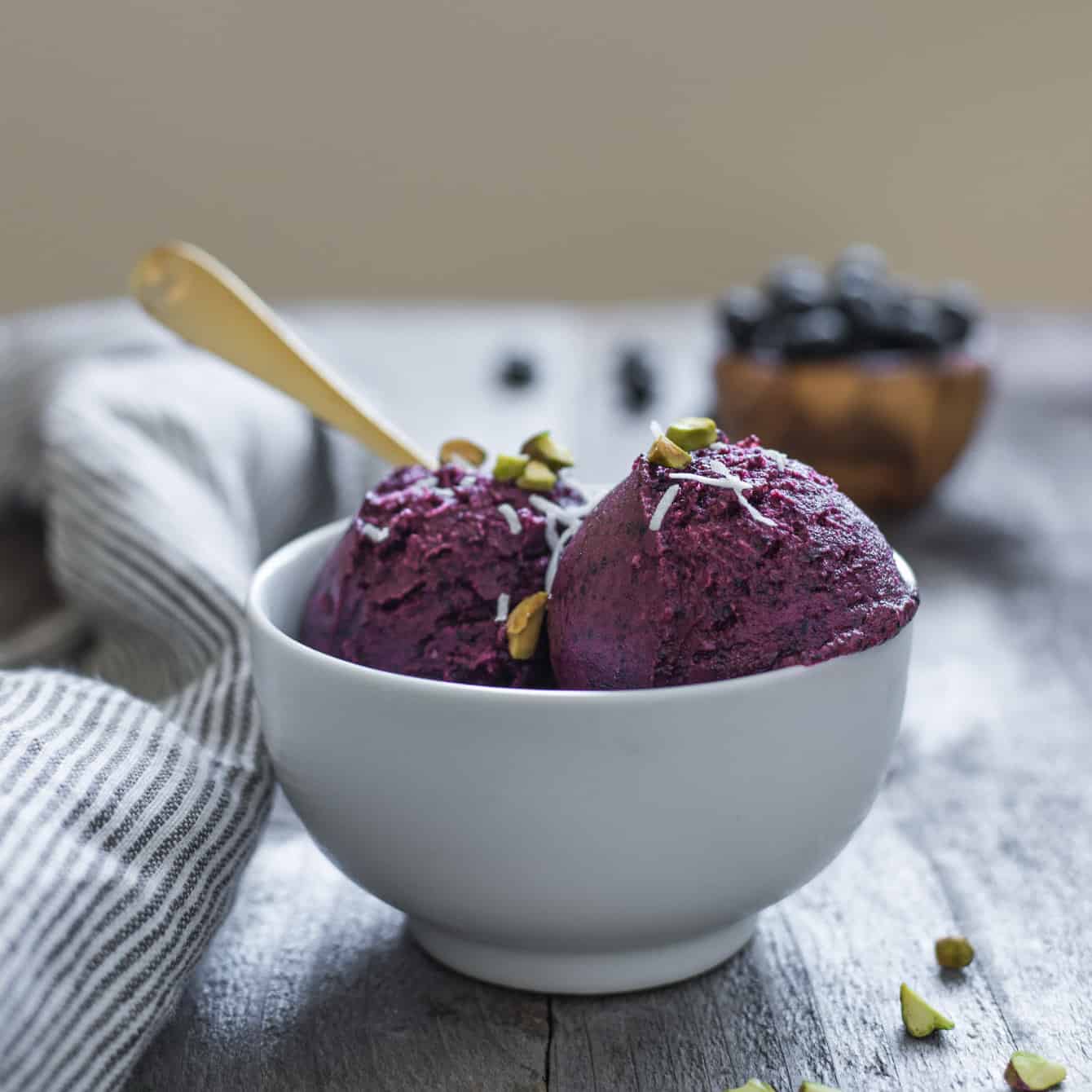 Blueberry Frozen Yogurt