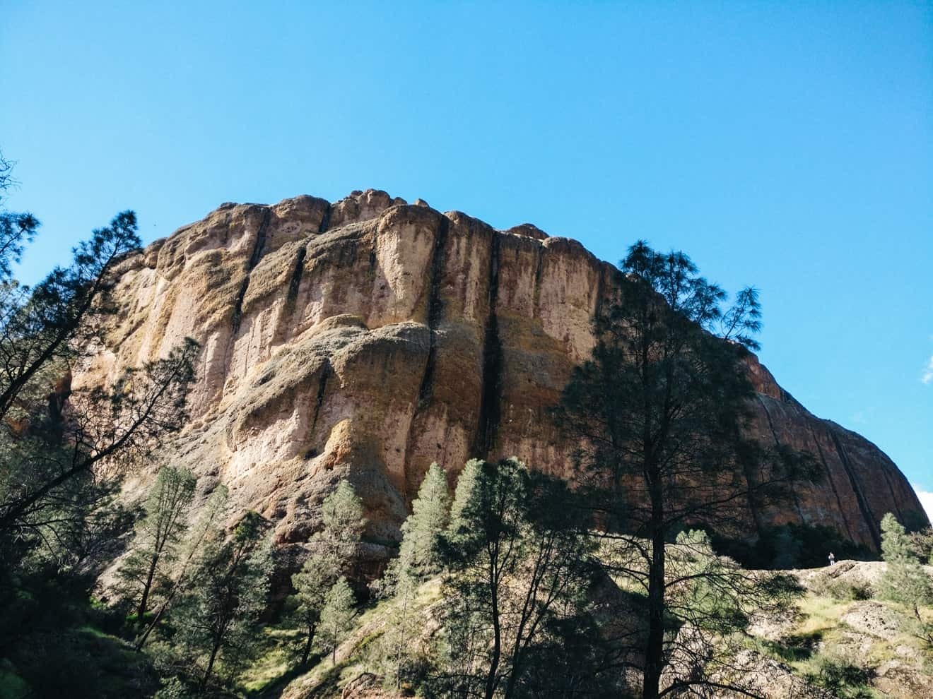 Pinnacles National Park