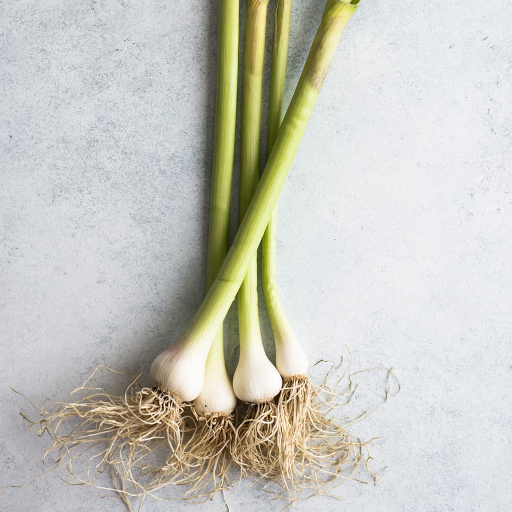 garlic with green stem