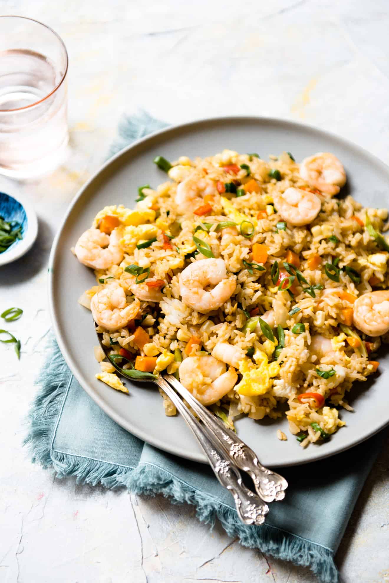 Instant pot shrimp fried rice recipe hot sale