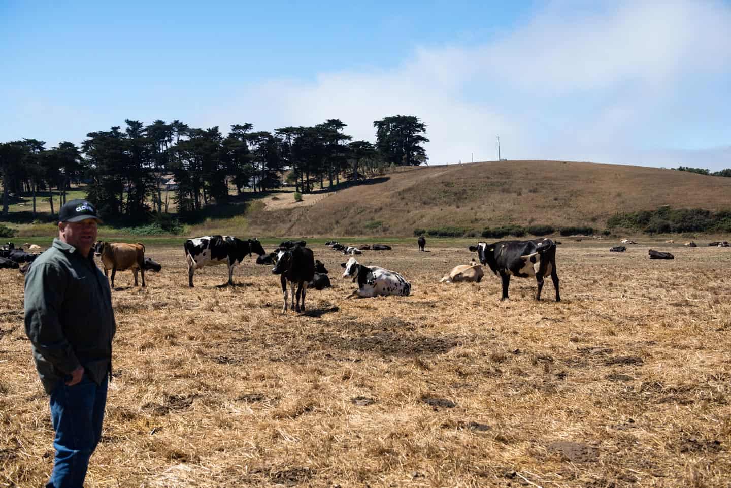 Moretti Dairy Farm