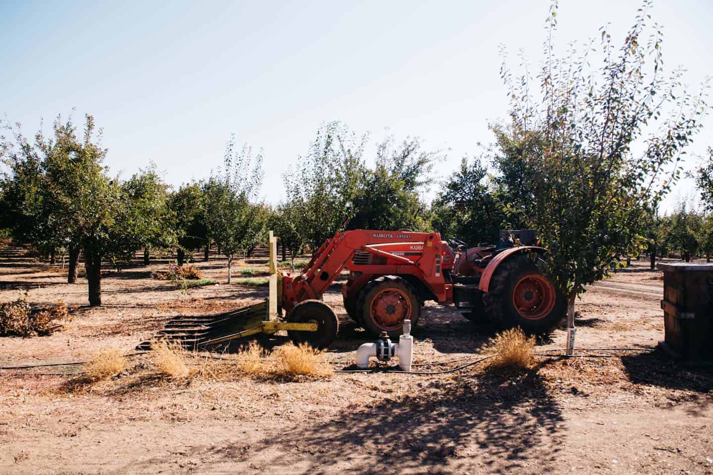 Turkovich Farms