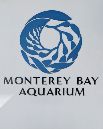 Monterey Bay Aquarium