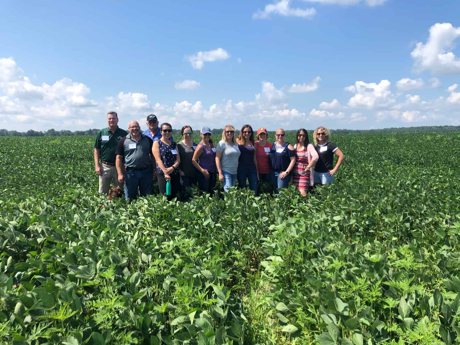 Soy Farm Tour