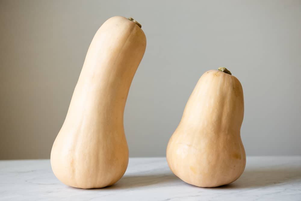 Butternut Squash