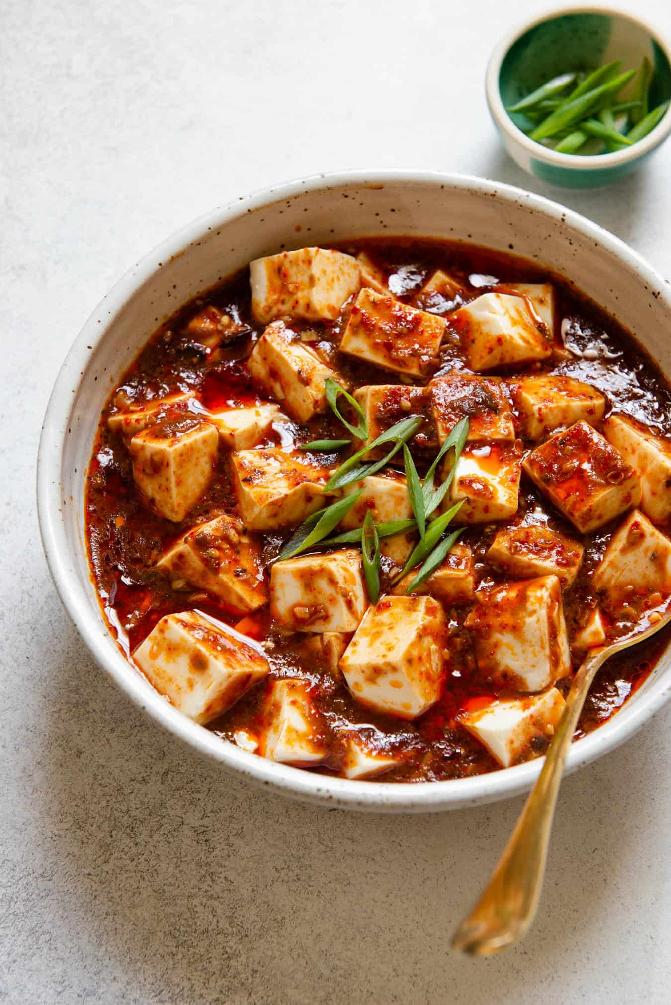 Vegan Mapo Tofu (素食麻婆豆腐) | Healthy Nibbles by Lisa Lin by Lisa Lin