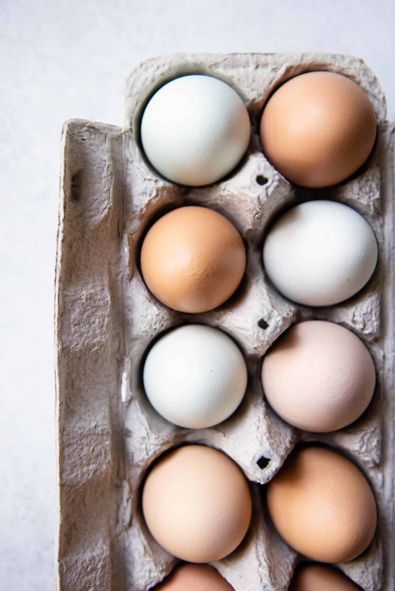 Why are eggs different colors? - AgriLife Today