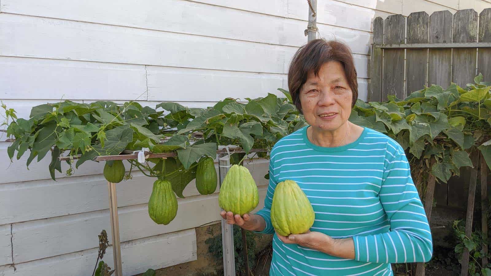 Chinese Stir-Fried Chayote Recipe | Healthy Nibbles by Lisa Lin by Lisa Lin