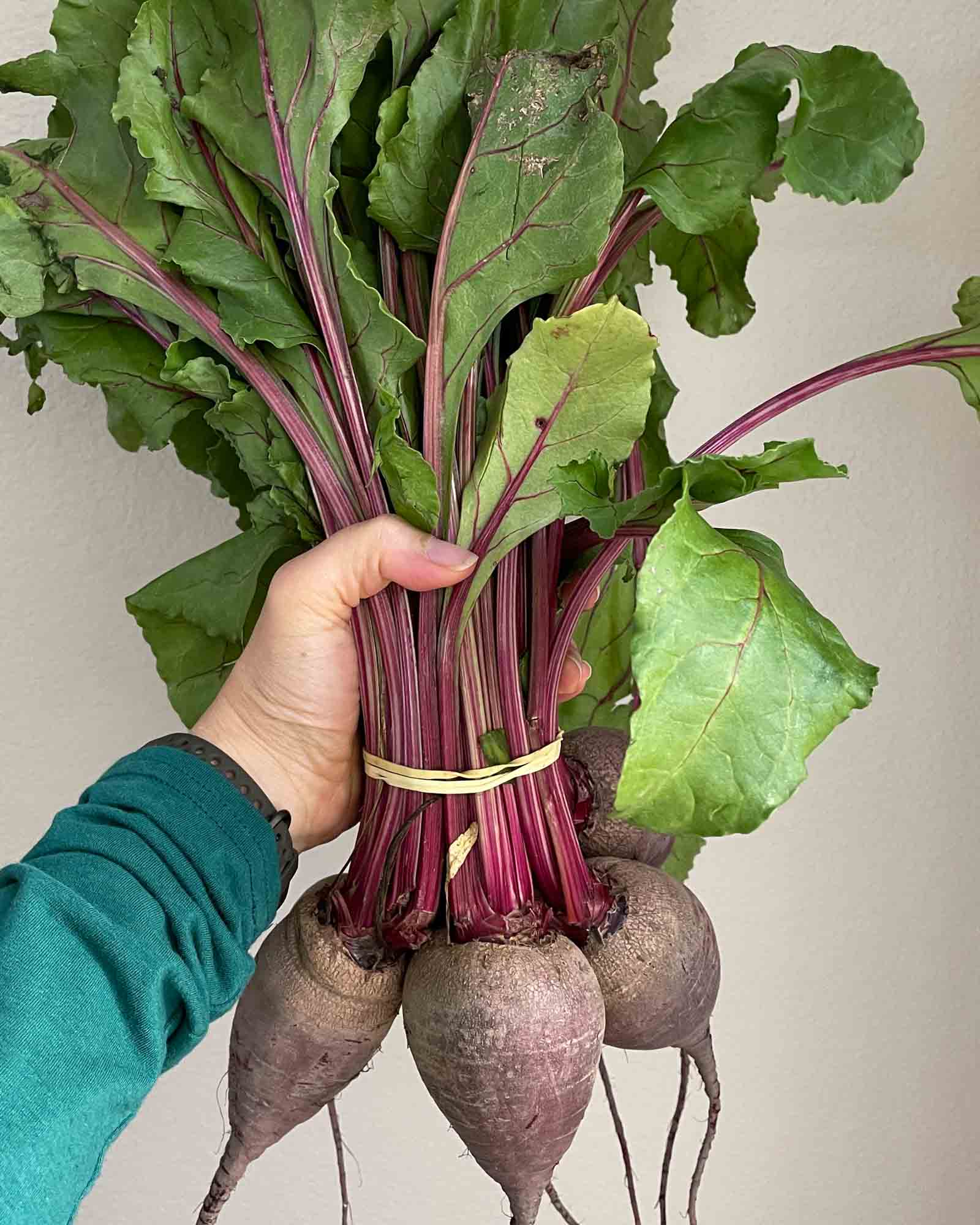 Bunch of Beets