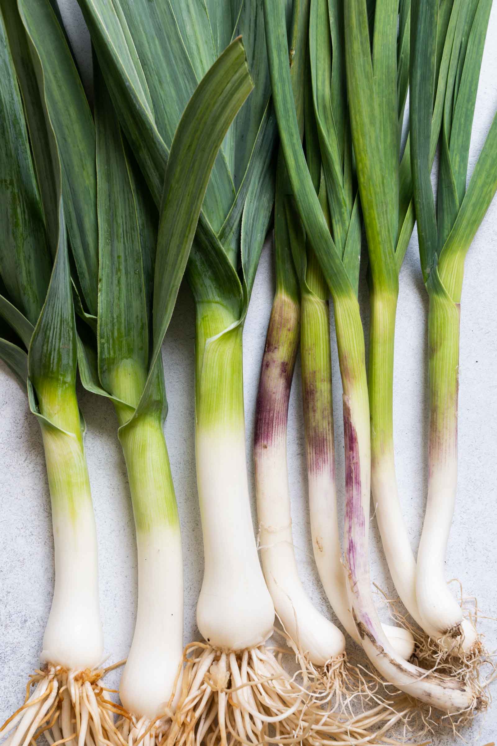 Green garlic