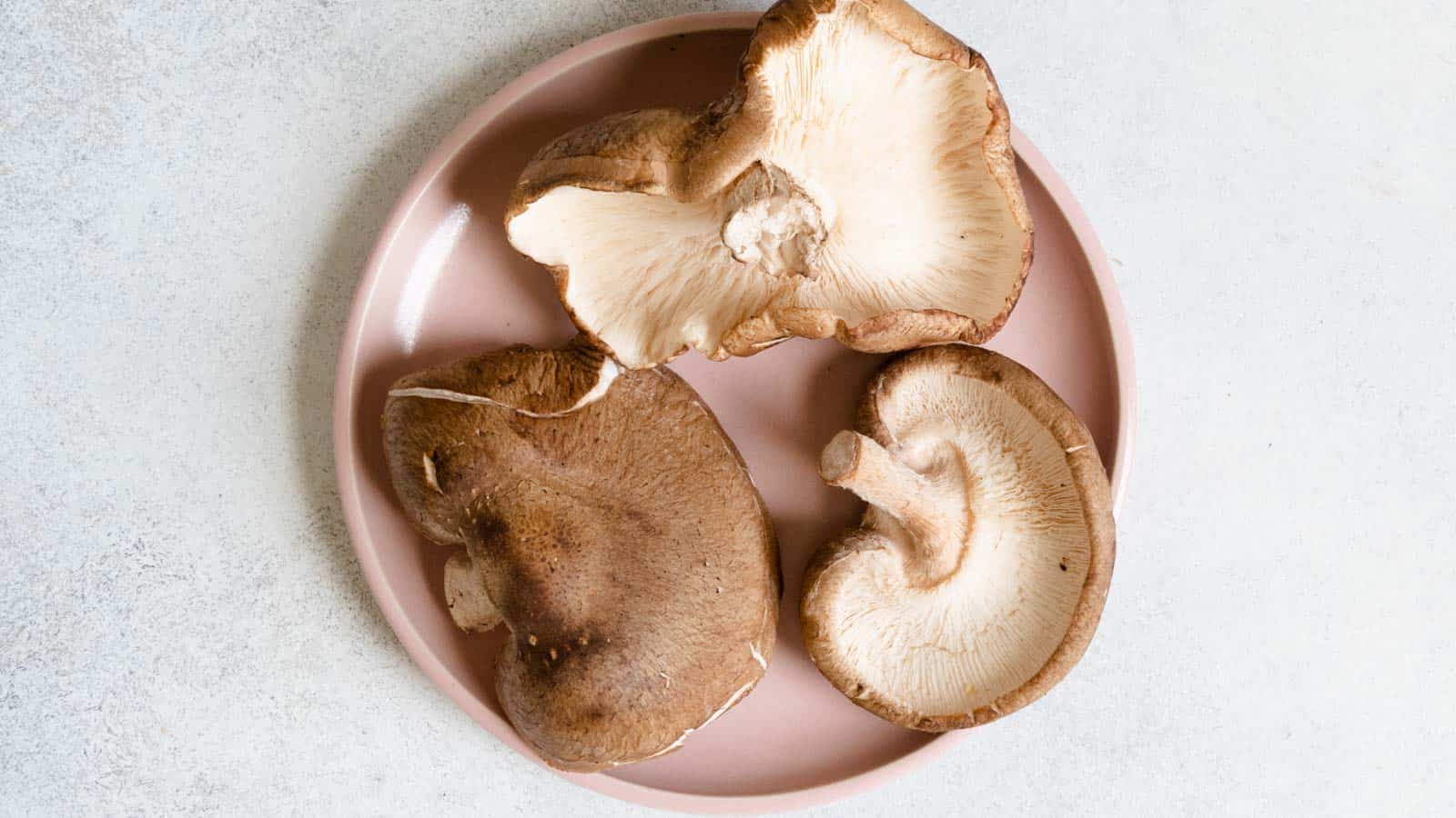 Wild Shiitake Mushrooms