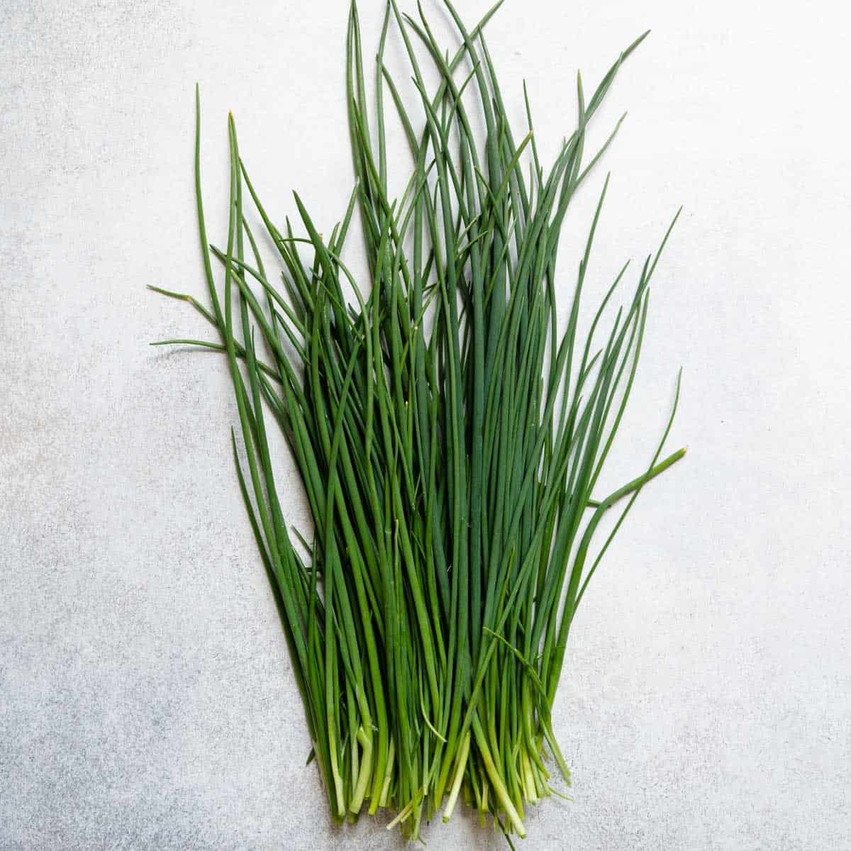 Regular chives