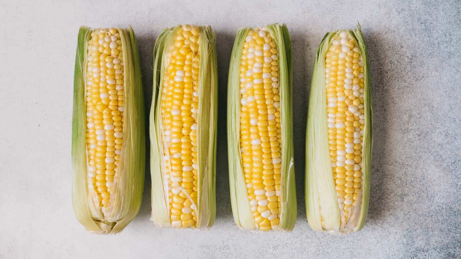 bi-color corn