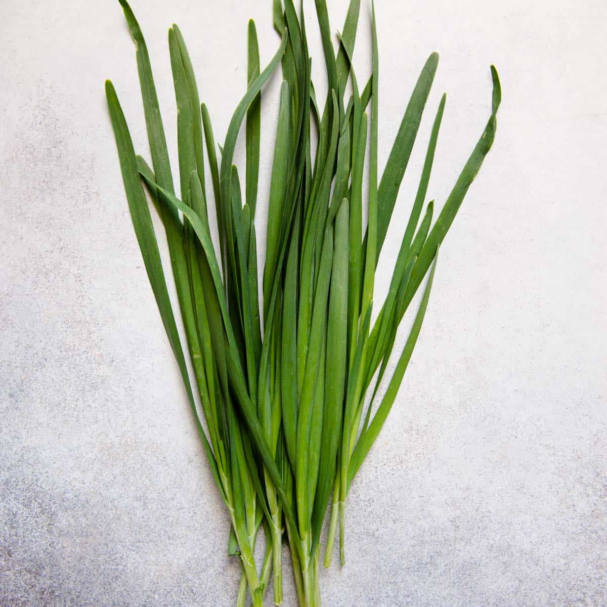 garlic chives