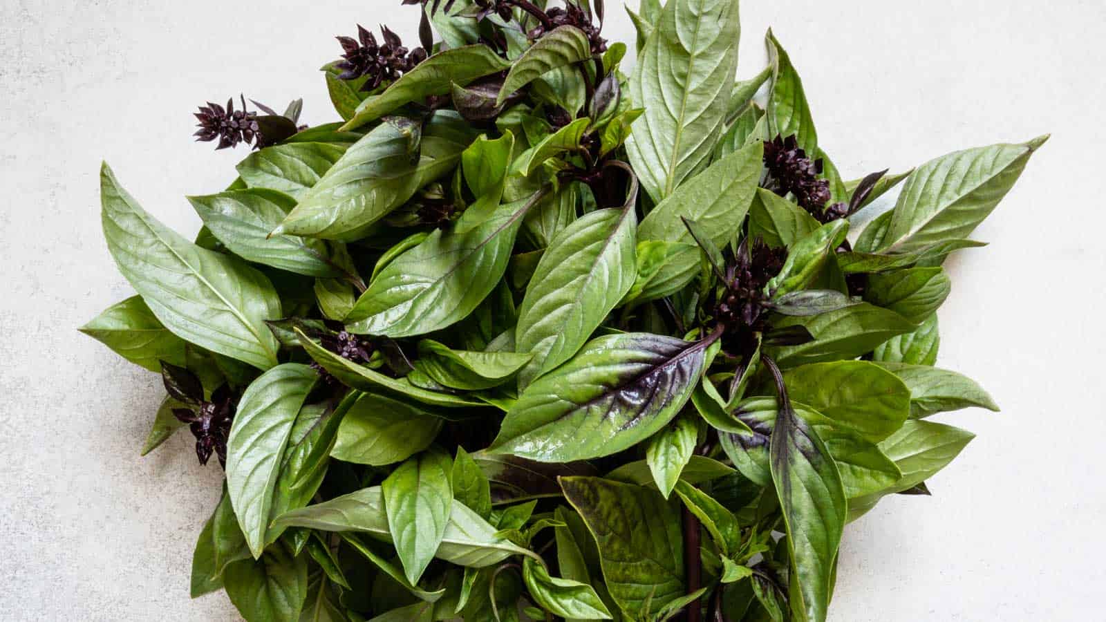 Bunch of Thai basil