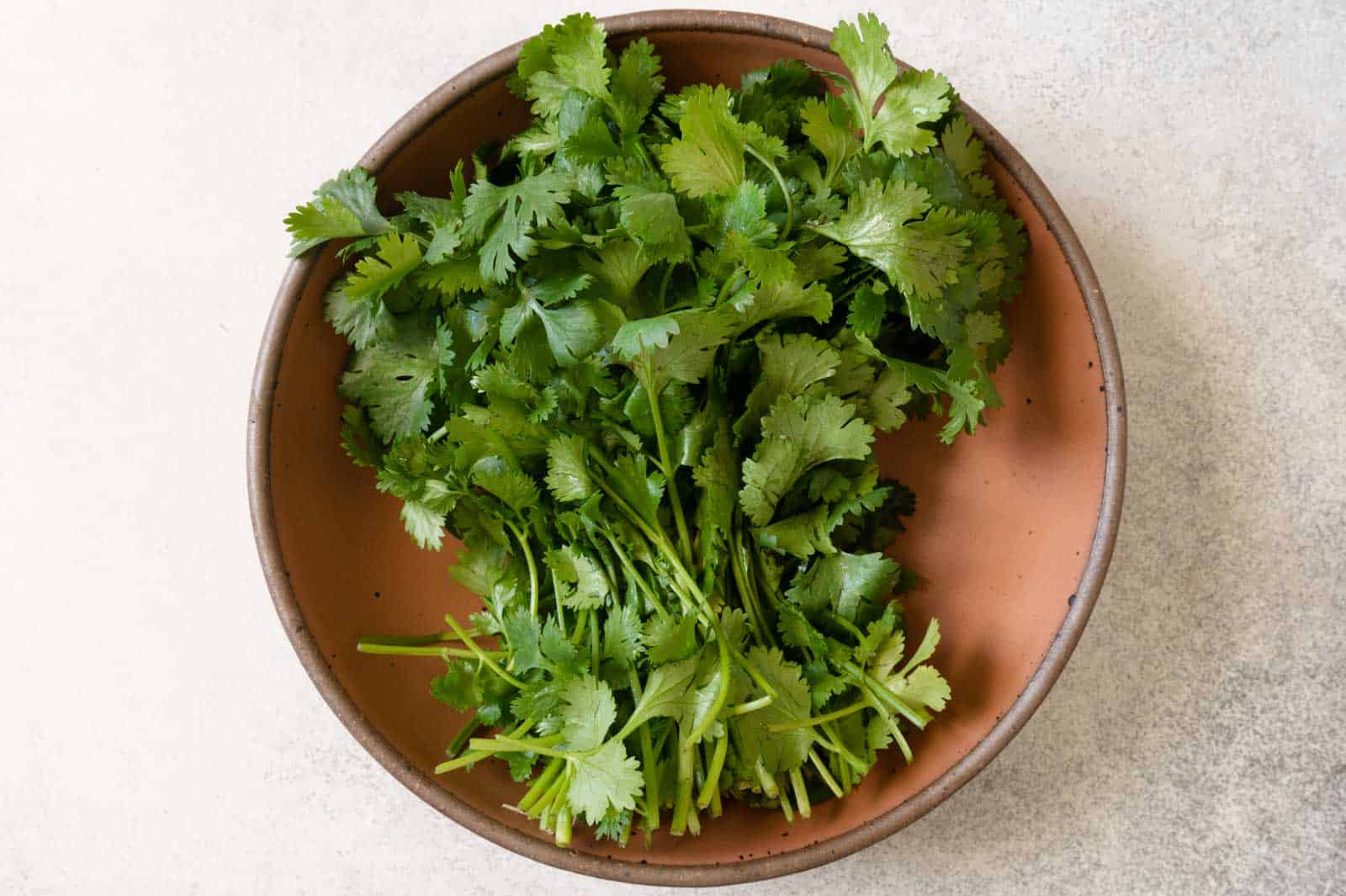 Cilantro in a bowl