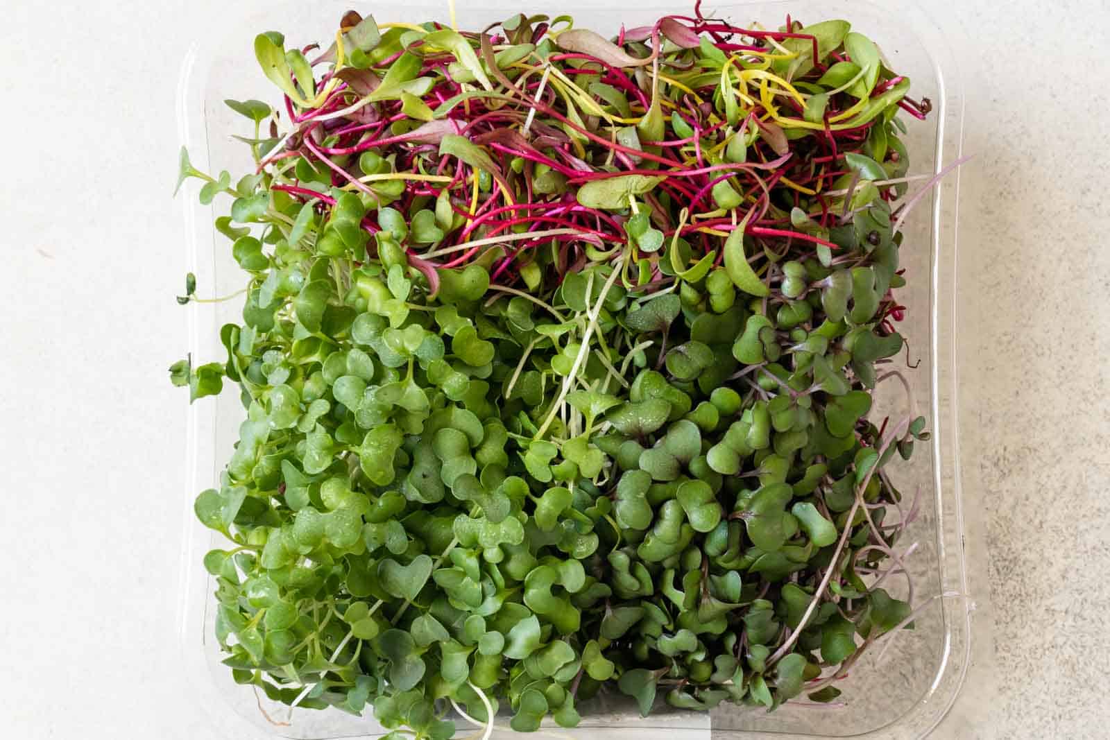 Microgreens