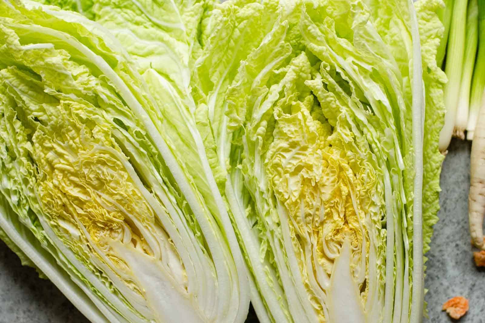 Napa Cabbage