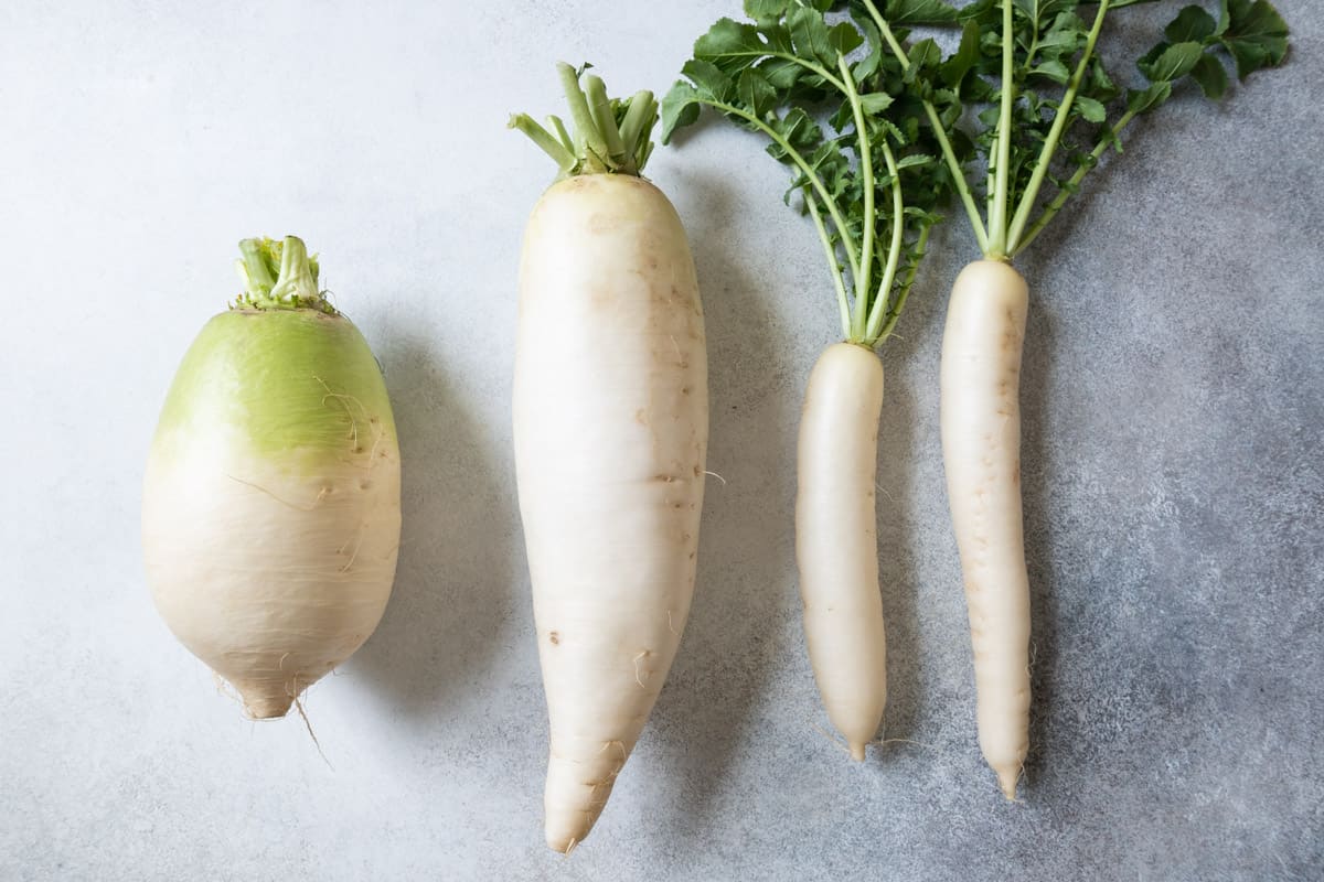 Different varieties of daikon radish