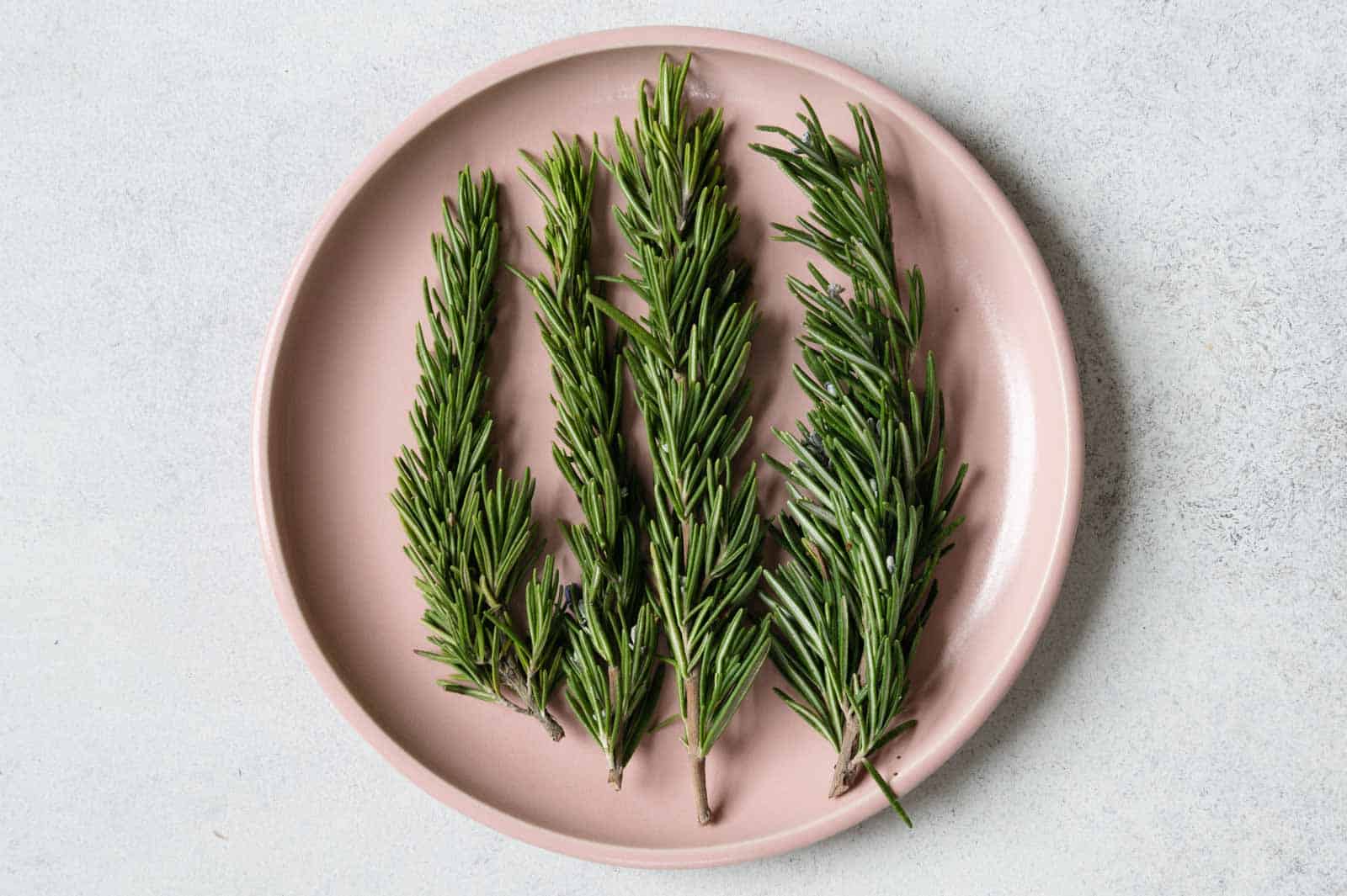 Rosemary