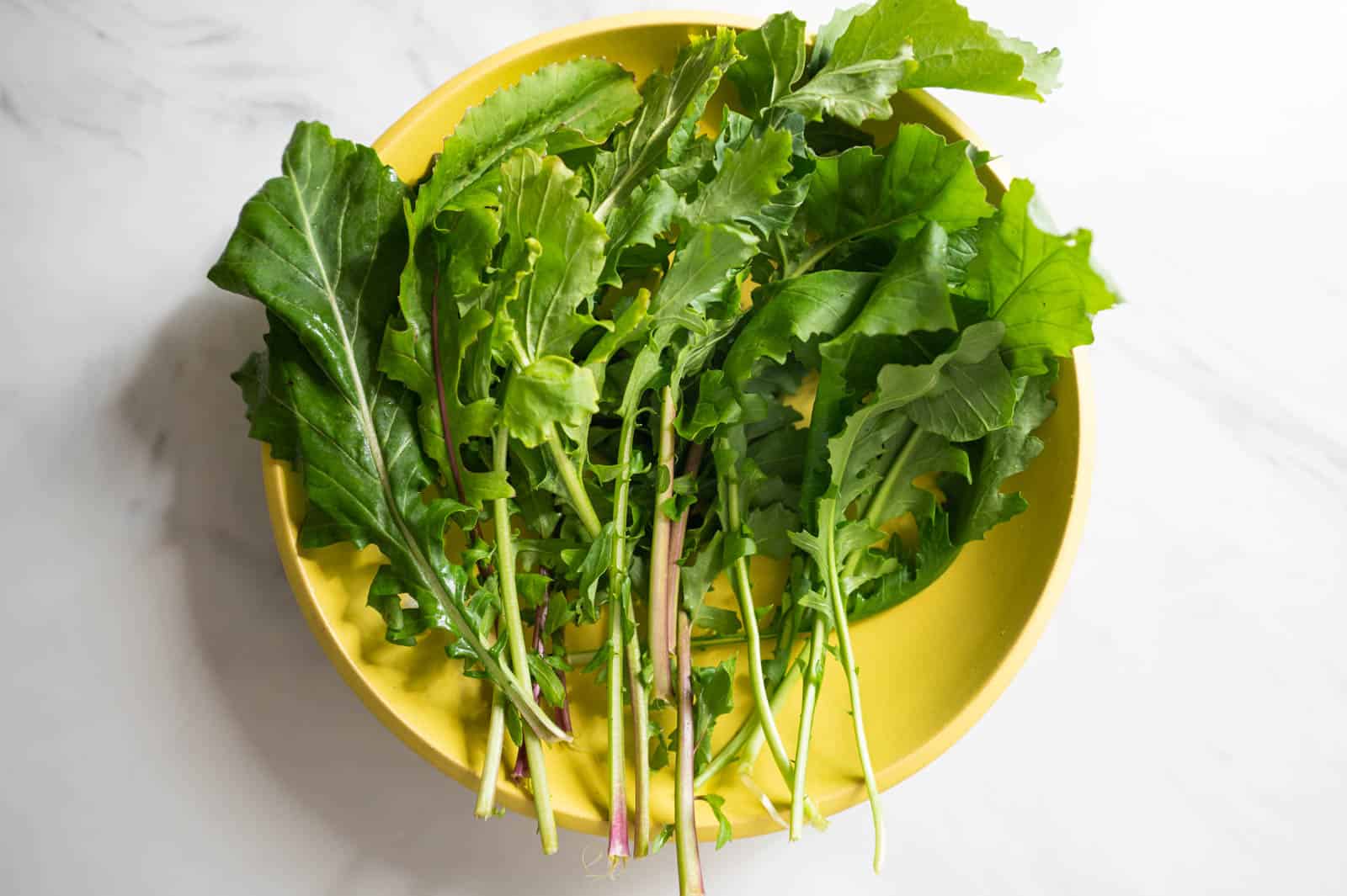 Arugula