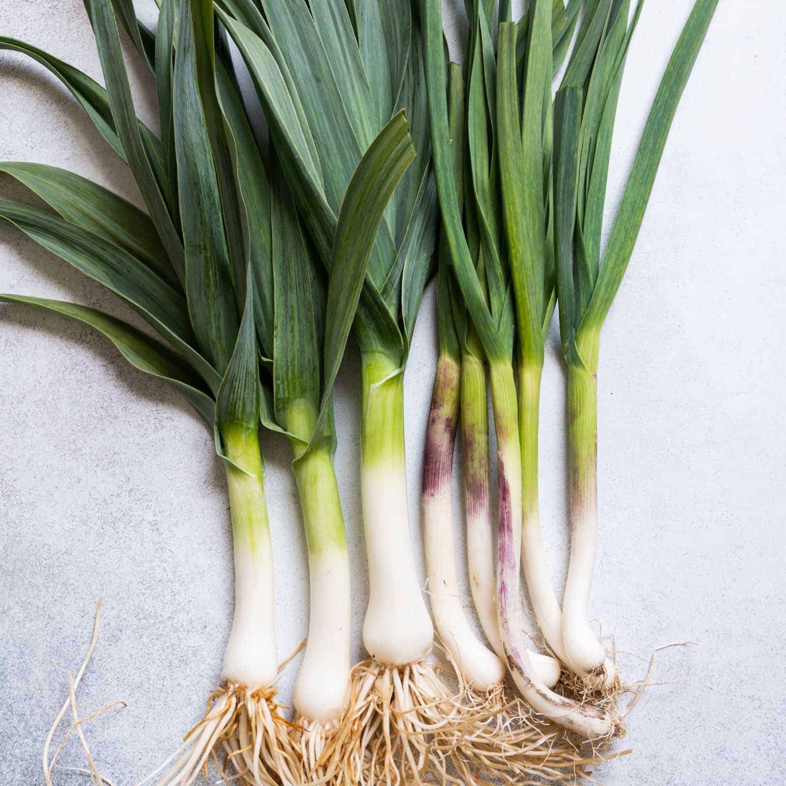 Green Garlic