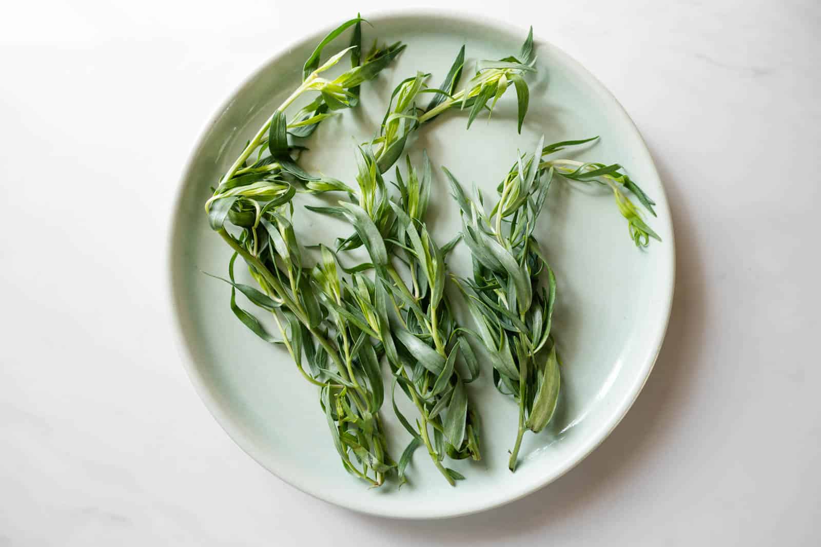 Tarragon