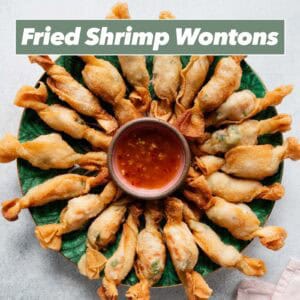 Fried Shrimp Wontons