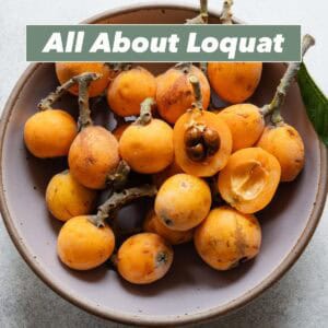 Loquat Fruits