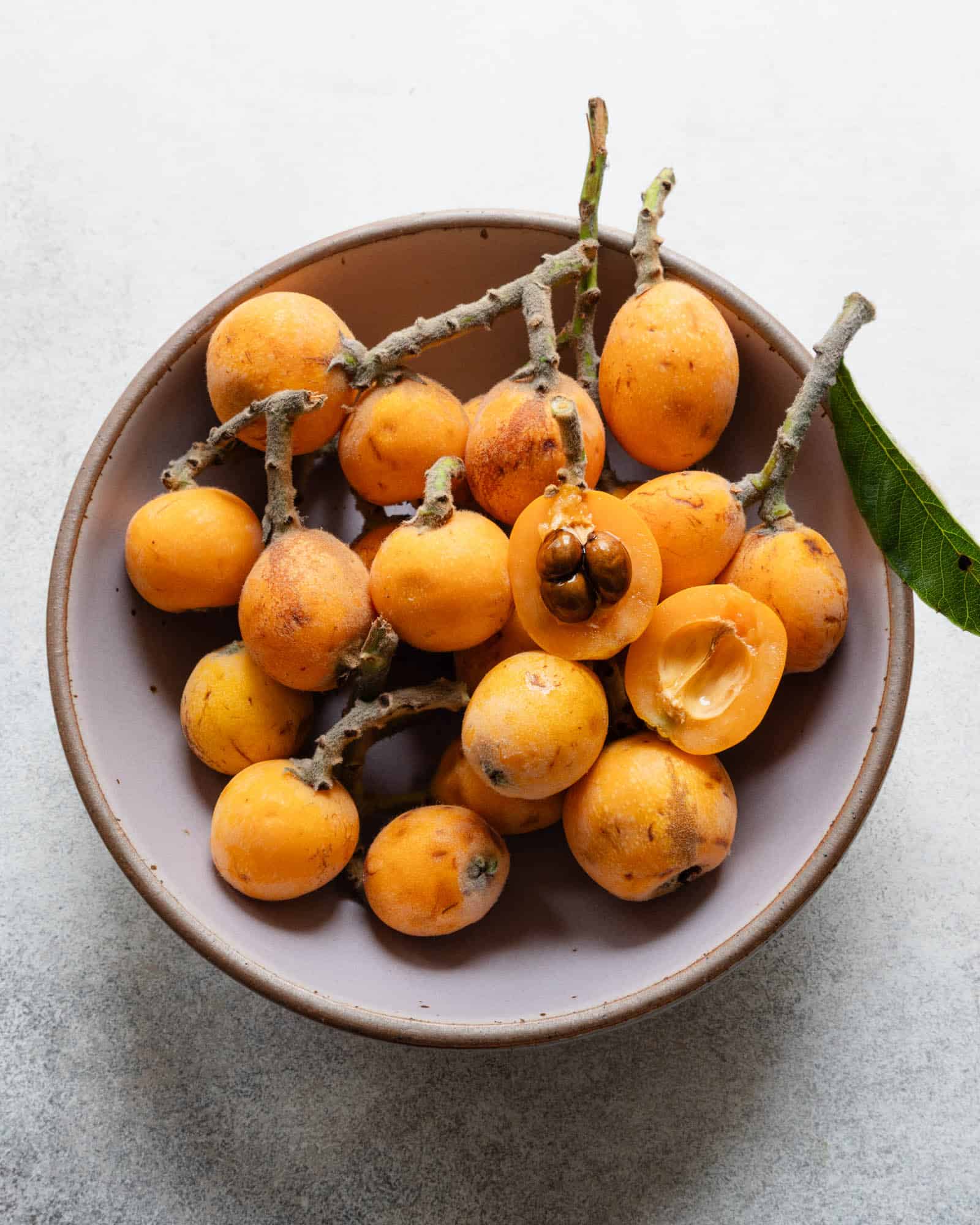 Loquat Fruit