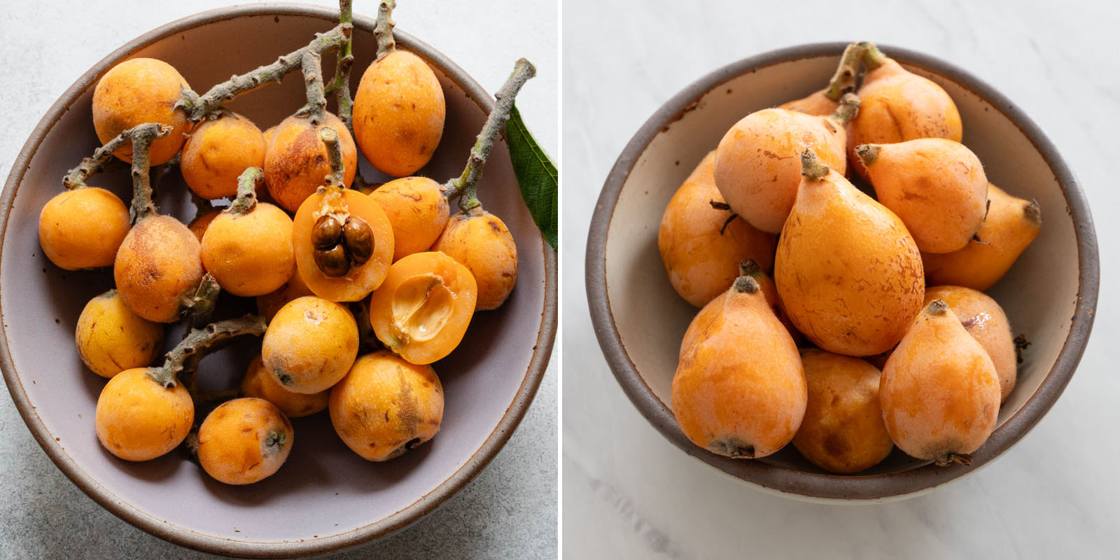 Different varieties of loquat