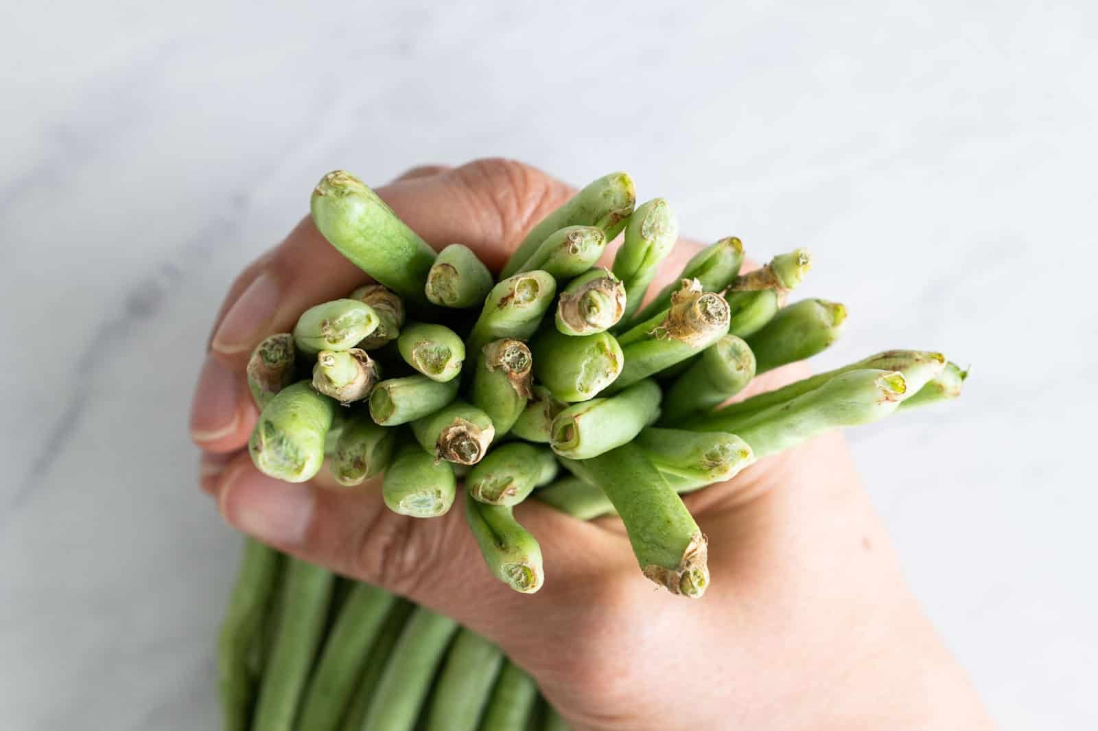 bottoms of beans