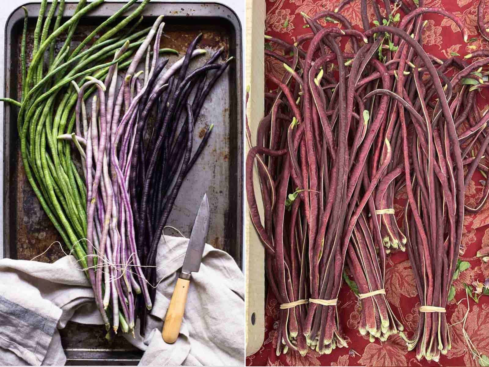 Purple and burgundy long beans