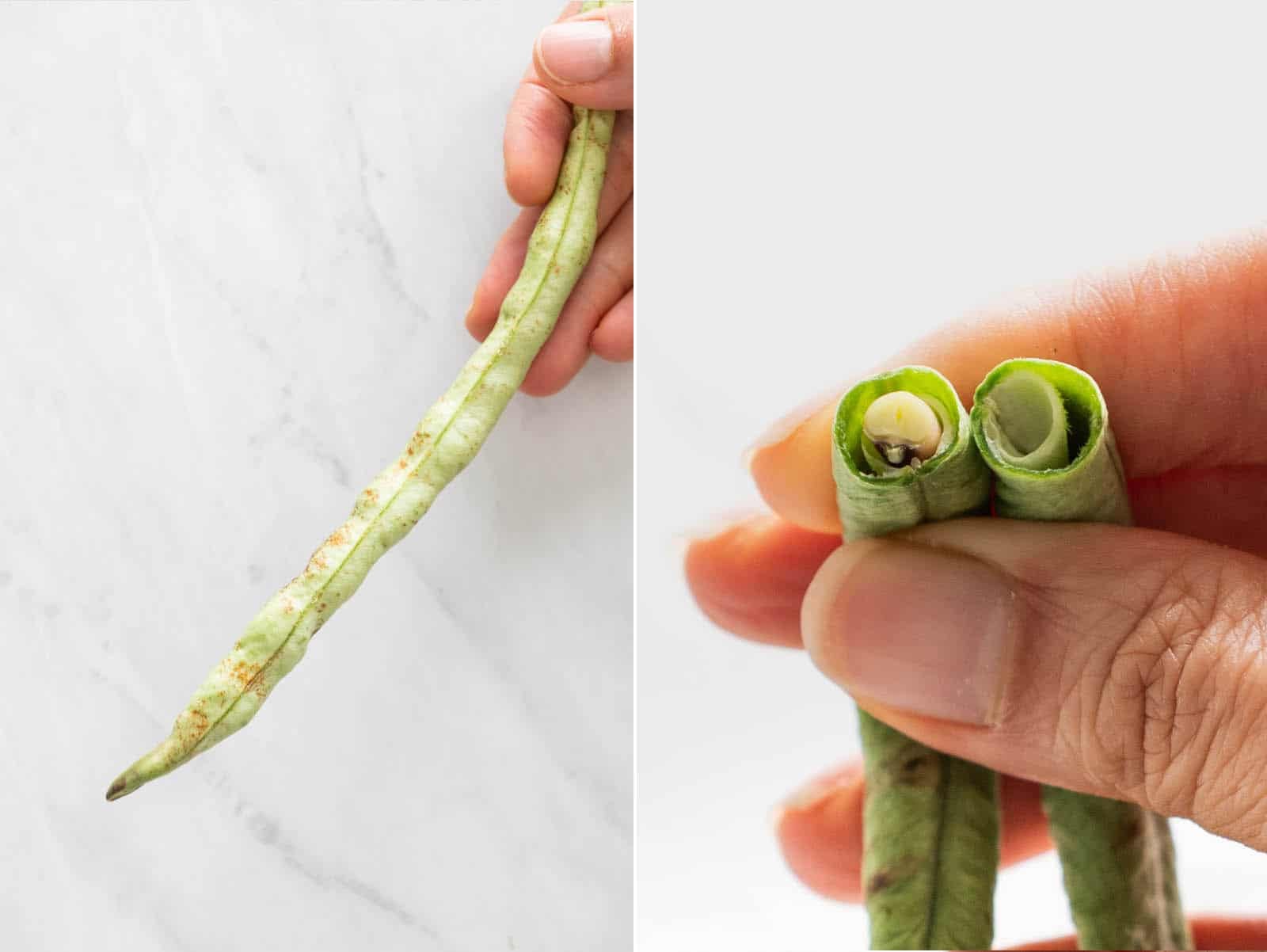 Mature yardlong beans