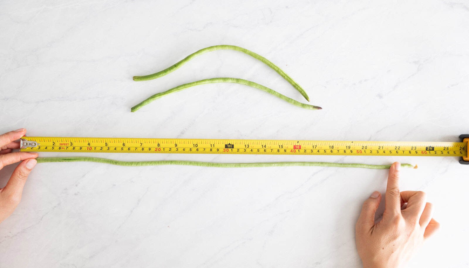 Measuring long beans